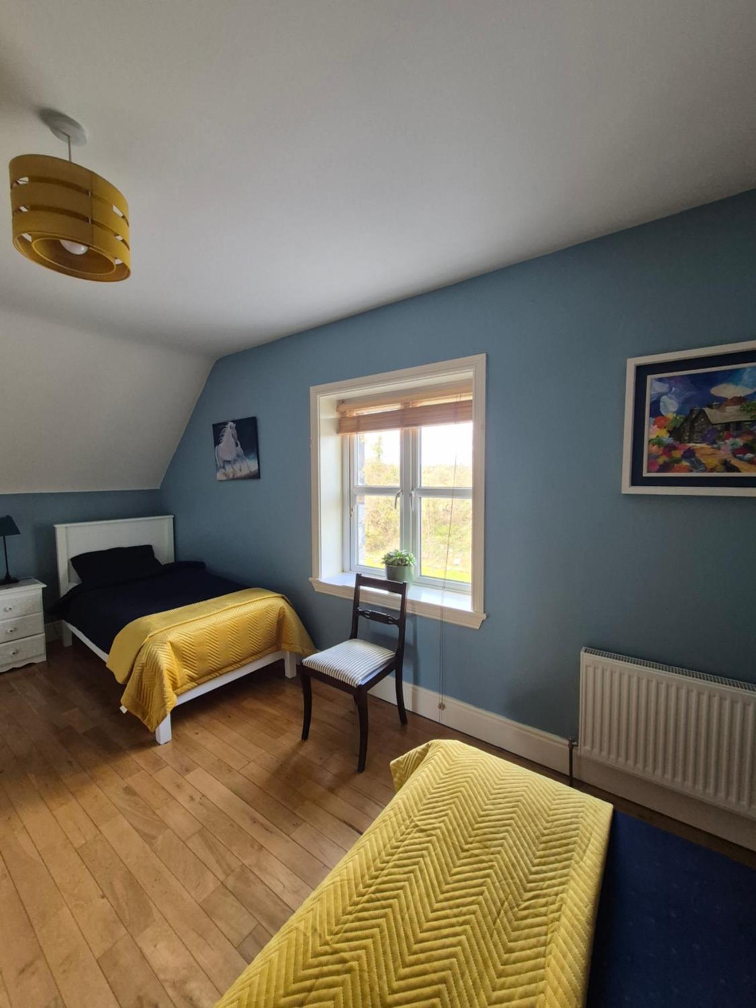 Ballinasloe Guest House In The Heart Of The Country المظهر الخارجي الصورة